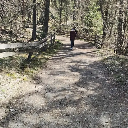 8 Couchages 45 M2 Confort A La Foux D'allos *